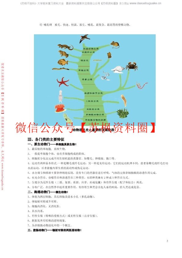 普通动物学